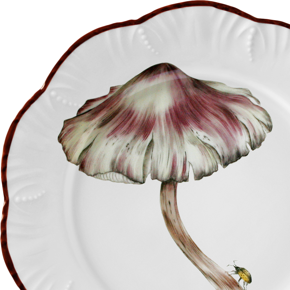 Mushroom Plates (1025x1025), Png Download