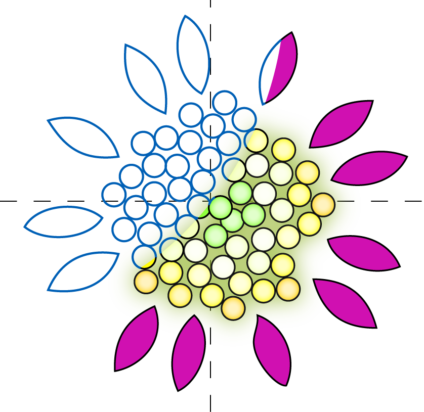 L System Flower Logo - Flower (838x815), Png Download