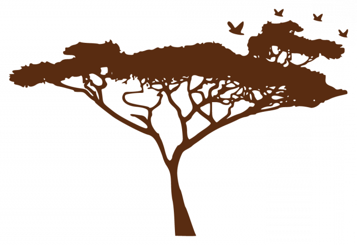 Africa Tree Silhouette - Le Léopard Chasse La Nuit [book] (700x480), Png Download
