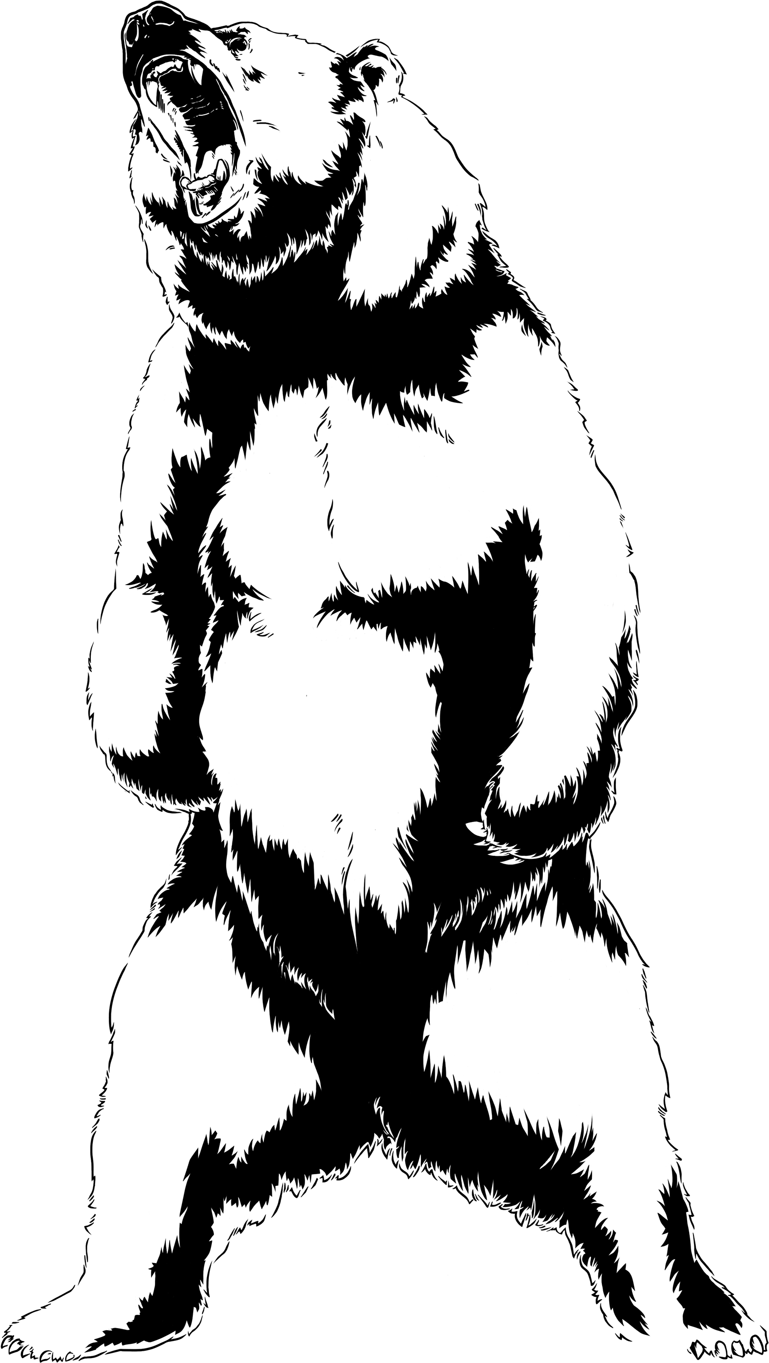 Graphic Library Library Bear At Getdrawings Com Free - Bear Roar Drawing (1920x3086), Png Download