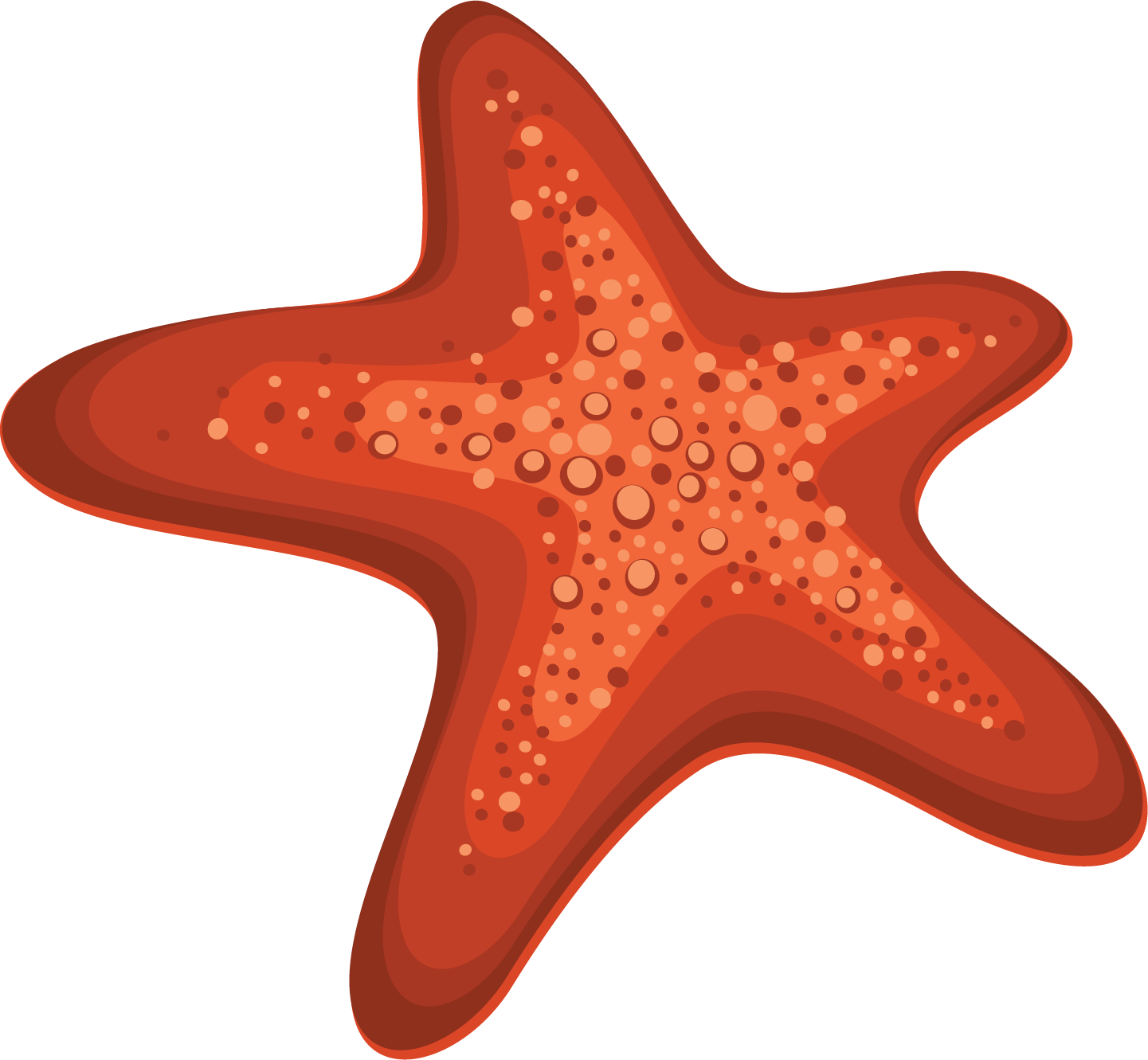 Starfish Png - Морская Звезда Пнг (1441x1331), Png Download