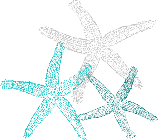Starfish Clipart Teal (600x532), Png Download