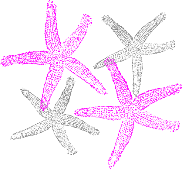 Pink And Navy Starfish Clipart - Clip Art Starfish Free (600x559), Png Download