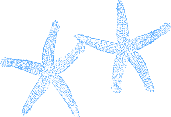 Original Png Clip Art File Two Blue Starfish Svg Images (600x413), Png Download