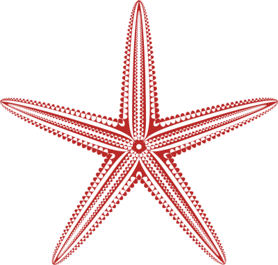 Starfish Clipart - Hawaii Royal Hawaiian Hotel (400x382), Png Download