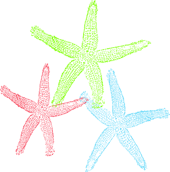 Free Set Of Three Colorful Starfish Clip Art - Graffitee Studios Love Starfish Graphic Art On Wrapped (594x601), Png Download