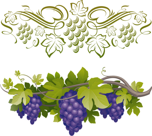 Raisin Png, Tube Fruit, Vendanges - 5th Sunday Of Easter Year B (600x537), Png Download