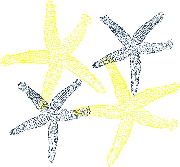 Starfish Prints Clip Art At Clker - Fish Clip Art (600x559), Png Download