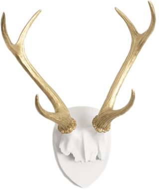 Any Color Faux Deer Antler Mount, White Plaque With - Antler (319x380), Png Download
