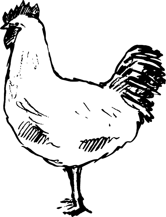 Hen Rubber Stamp - Chicken (534x700), Png Download