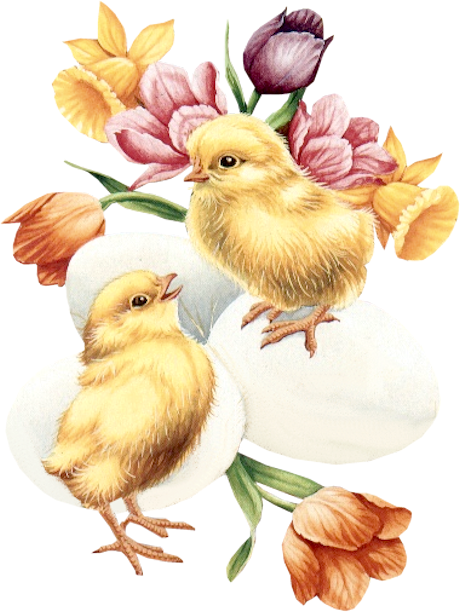 Publicat De Eu Ciresica La - Рамки Для Фотошопа Пасха (460x612), Png Download