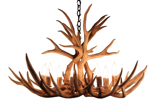 8 Light Mule Deer Antler Chandelier - Alexandrine Mule Deer 8-light Candle-style Chandelier (540x360), Png Download