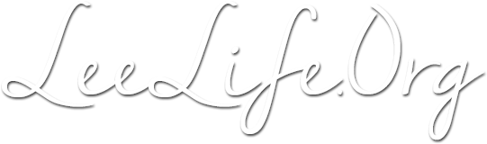 Leelife - Org - Calligraphy (640x203), Png Download