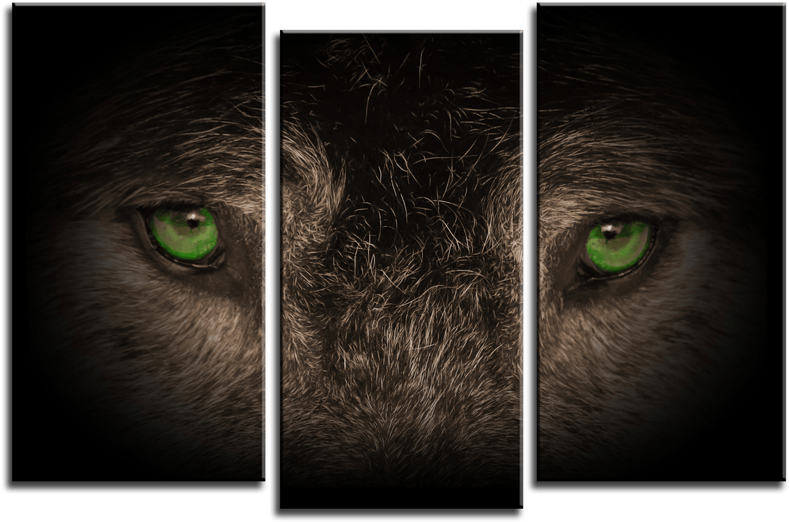 Wolf Eyes 3 Panel Canvas Print 075-01 - Half Life 2 Model Pack (1200x1200), Png Download
