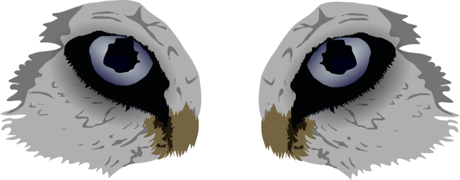 Fur Vector Eyes - Clip Art (900x353), Png Download
