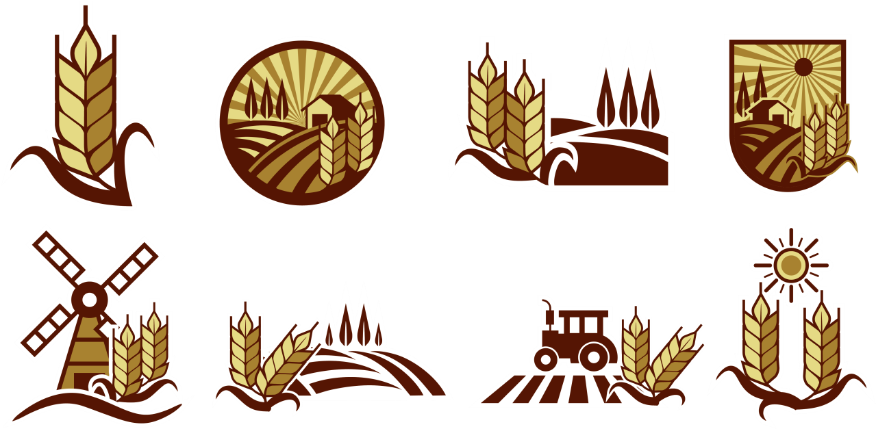 Rice Field Vector Labels - Rice Field Logo (700x490), Png Download