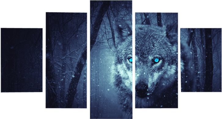 Blue Eyes Wolf In Forest Canvas Wall Art - Canvas (800x800), Png Download