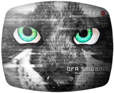 Sairys Wolf - Black Cat (400x400), Png Download