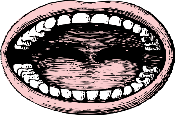 Wide Mouth Clip Art - Opened Mouth Png (600x395), Png Download