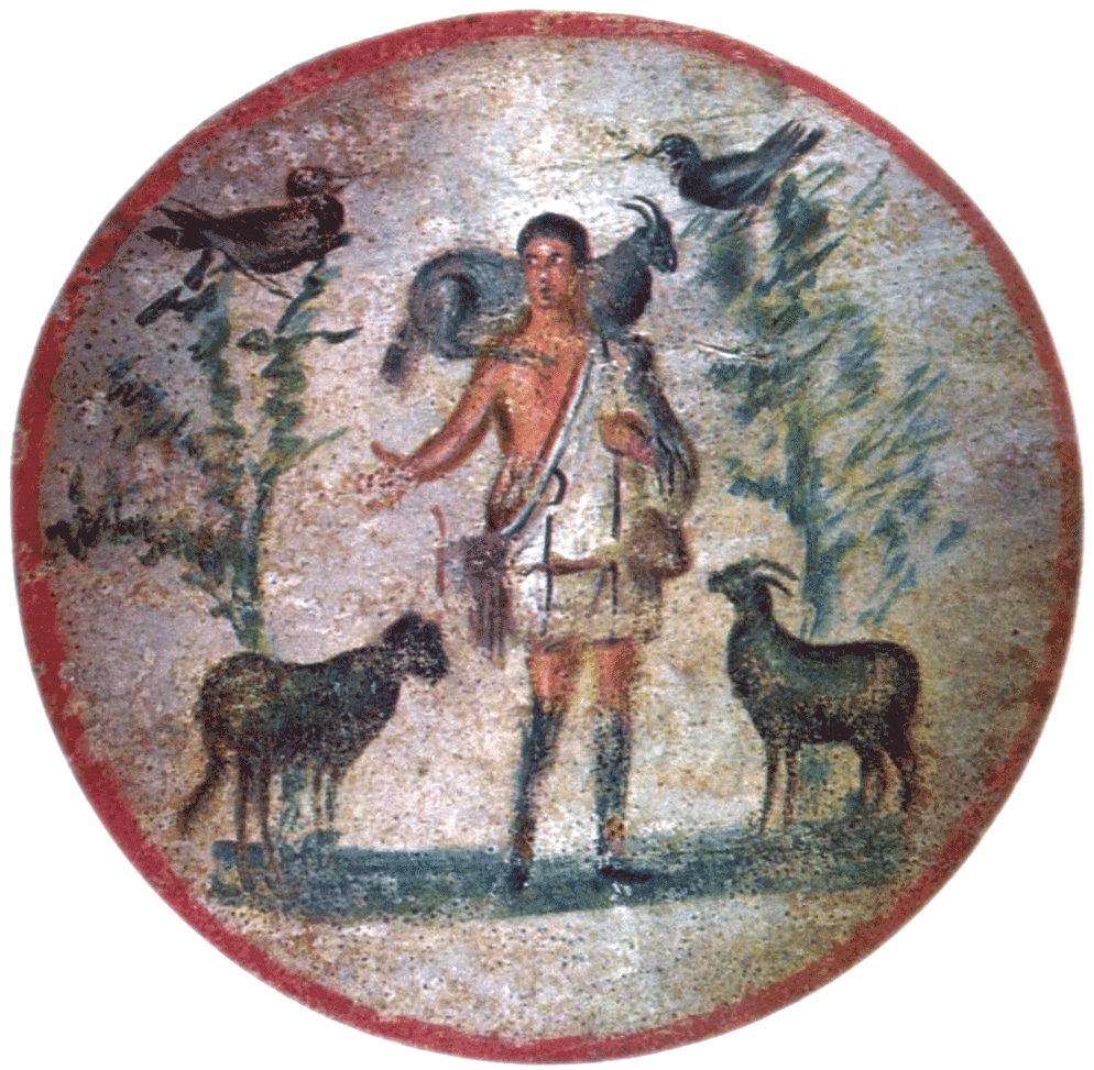 Caring With A Shepherd's Heart - Jesus In The Gospels: Getting To Know Jesus As Presented (1024x982), Png Download