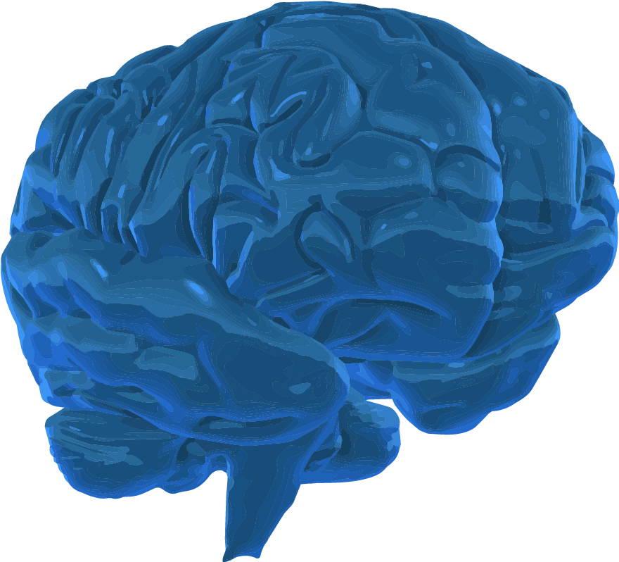 A 3d Graphic Image Of The Human Brain - Blue 3 D Brain Png (1921x1201), Png Download