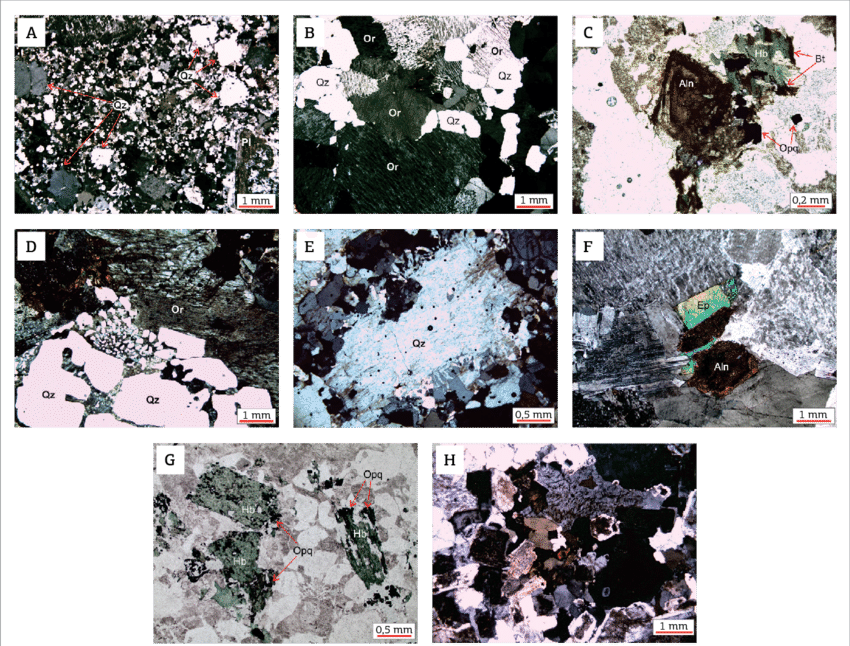 Textural Aspects Photomicrographs Of The Studied Rocks - Collage (850x646), Png Download