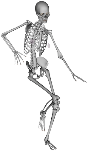 Bones Inspire My 700 Muscles To Push, Pull, Expand, - Dance (600x800), Png Download