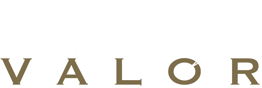 Download A Celebration Of Valor - Graphic Design - Full Size PNG Image ...