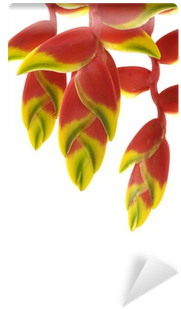 Lobster-claws (400x400), Png Download