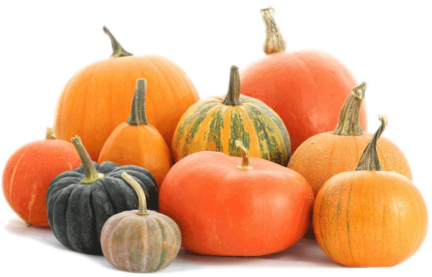 Picture - Group Of Pumpkins (898x599), Png Download
