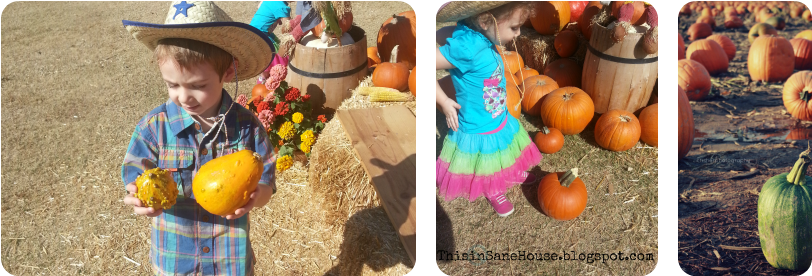 October Fun - Pumpkin Patch - Toddler (851x315), Png Download