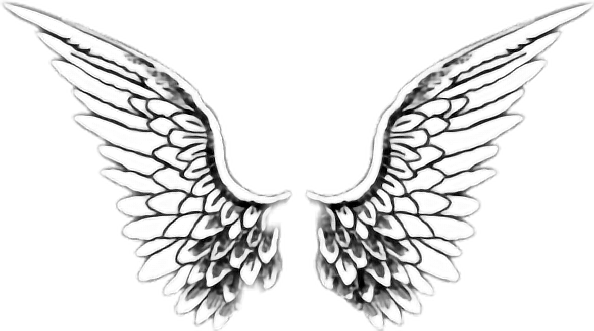 Alas White Tumblr - Angel Wings Transparent (1176x656), Png Download