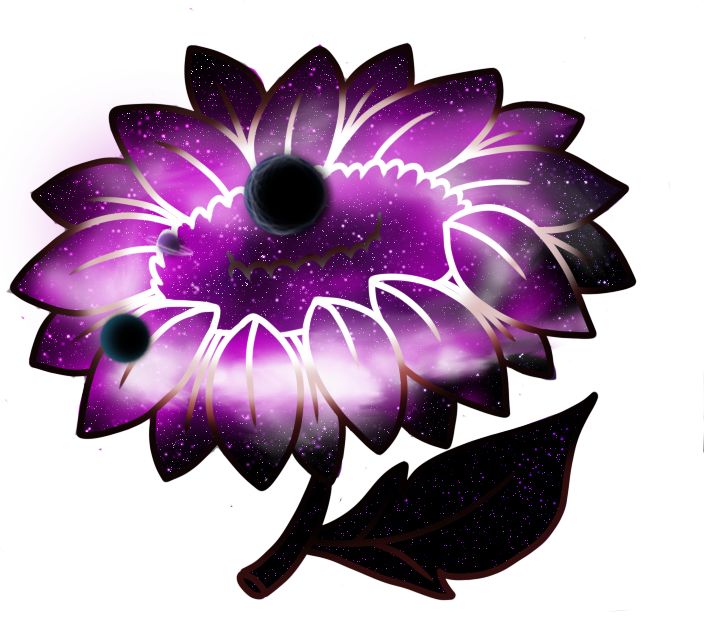 Flower Dark Star - Pericallis (704x622), Png Download