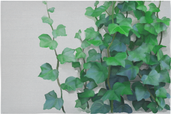 Vines, Climbing Plant Cotton Linen Wall Tapestry - Canvas (500x500), Png Download
