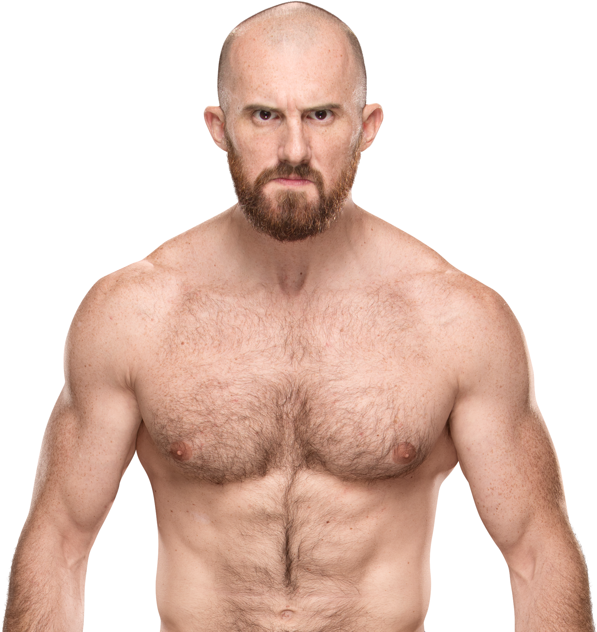 Oneylorcan - Wwe Oney Lorcan Png (1907x2019), Png Download