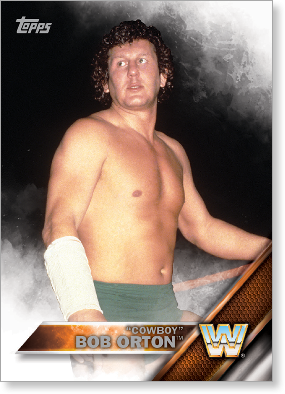 "cowboy" Bob Orton 2016 Topps Wwe Now, Then And Forever - 2016 Topps Wwe Base Cards Topps (2000x2000), Png Download