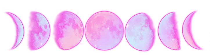 Tumblr Static ] - Maybe The Wolf Is In Love (735x200), Png Download