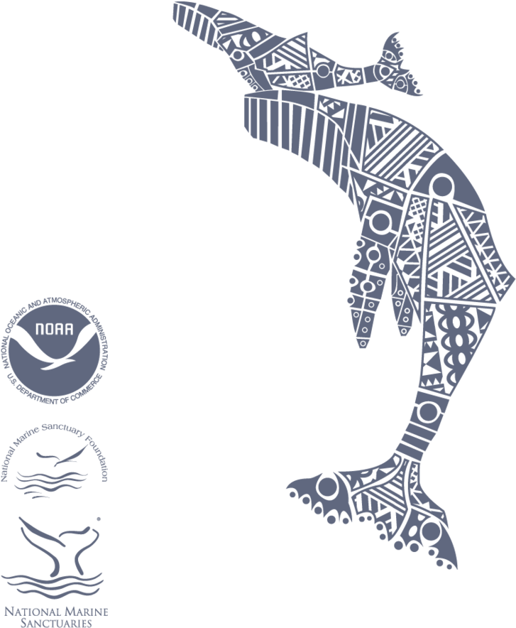 First Breath Humpbacks Web - Humpback Whale (1000x1000), Png Download