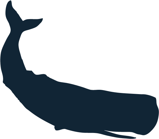 Sponsors - Sperm Whale Silhouette (600x506), Png Download