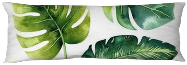 Hand Drawn Watercolor Tropical Plants Set - Watercolor Painting (400x400), Png Download