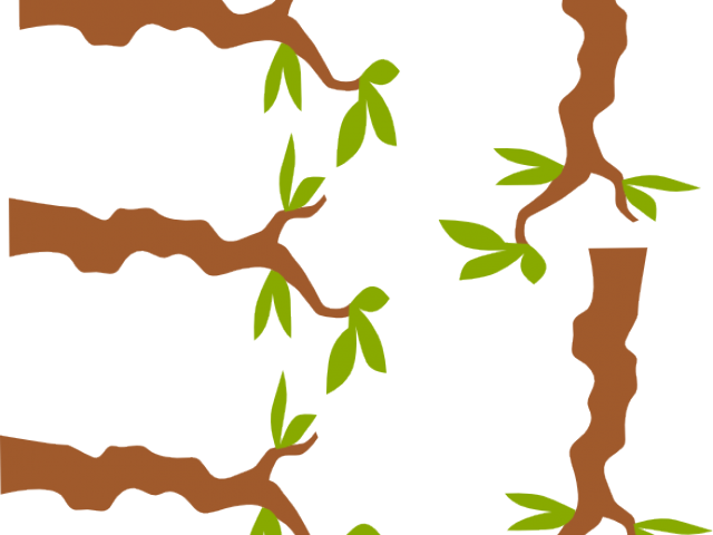 Branch Clipart Jungle Tree Branch - Clip Art (640x480), Png Download