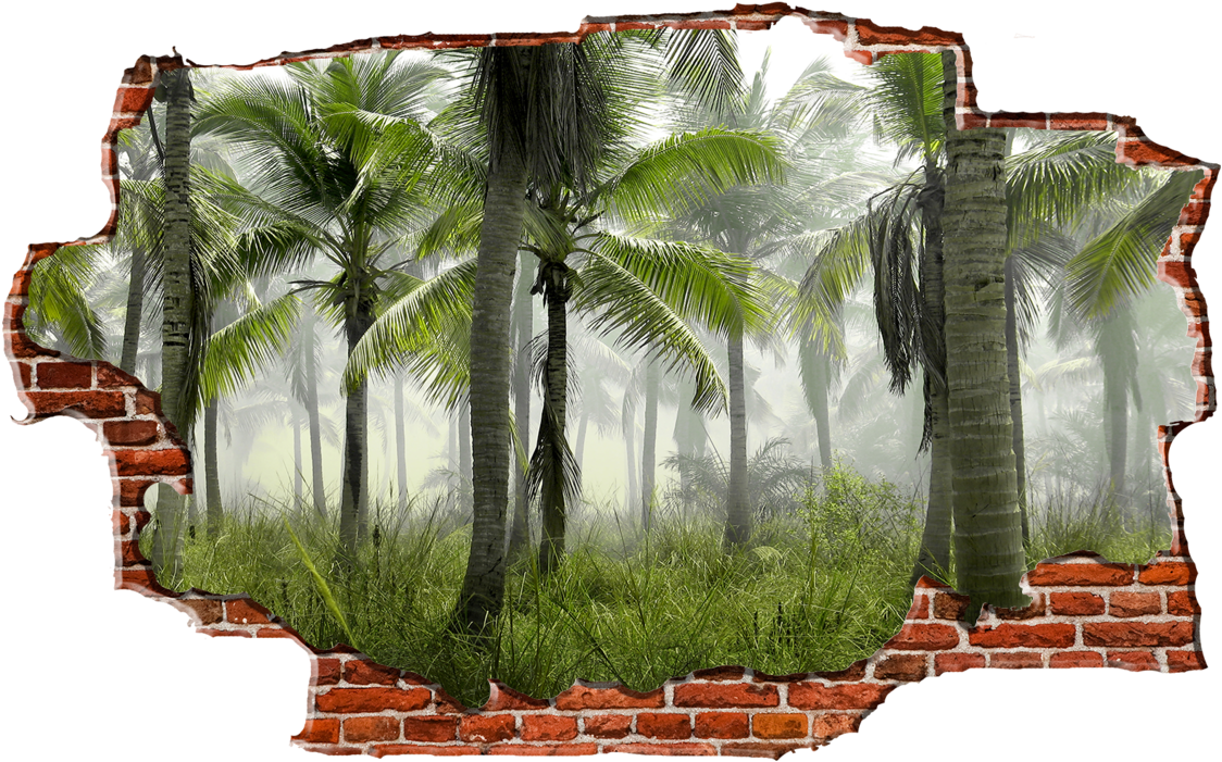 Zapwalls Decals Jungle Tree View Breaking Wall Nature - Palm Trees Forest (1280x750), Png Download