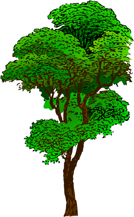Clipart Jungle Tree - Tall Tree Clip Art (366x595), Png Download