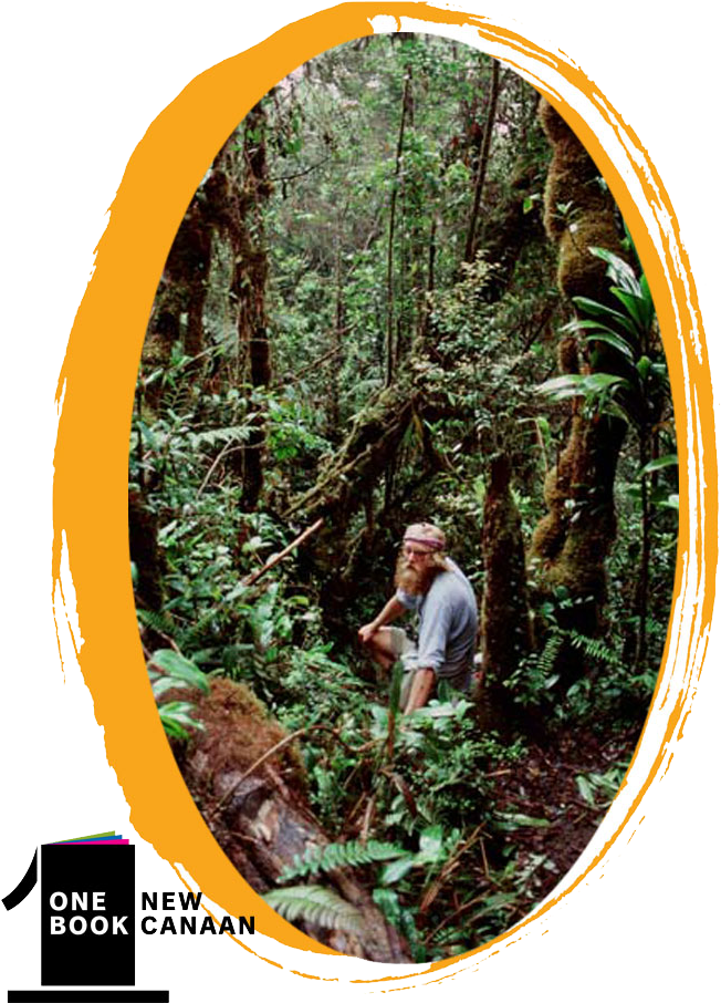 Learn About The Beautiful Rainforest Of Papua New Guinea, - American Larch (792x975), Png Download