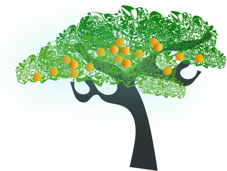 Orange Tree Clip Art (800x582), Png Download