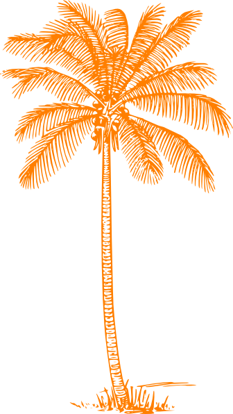 Coconut Tree Pencil Drawing (336x596), Png Download