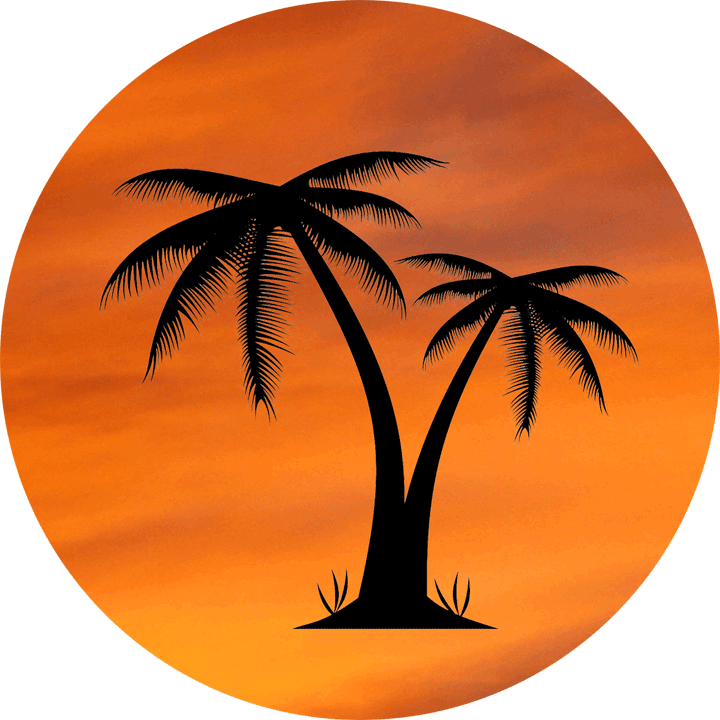 Orange Sky Palm Tree Design - Palm Tree Logo Transparent (720x720), Png Download