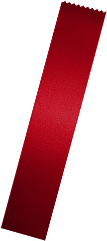 Flag (410x703), Png Download
