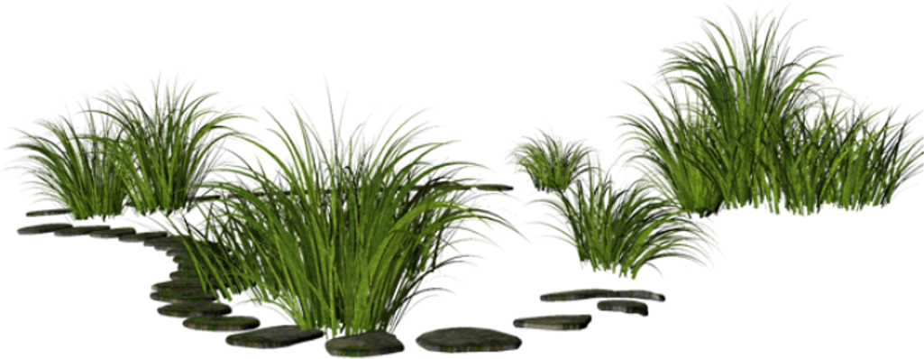 Scnature Green Greengrass Grass Stone Stonepath - Plants (1024x1024), Png Download