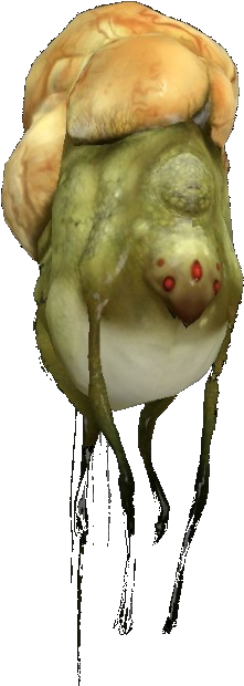 Gasbag - Woodpecker Finch (328x629), Png Download